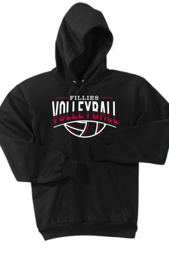 HCHS Fillies Volleyball