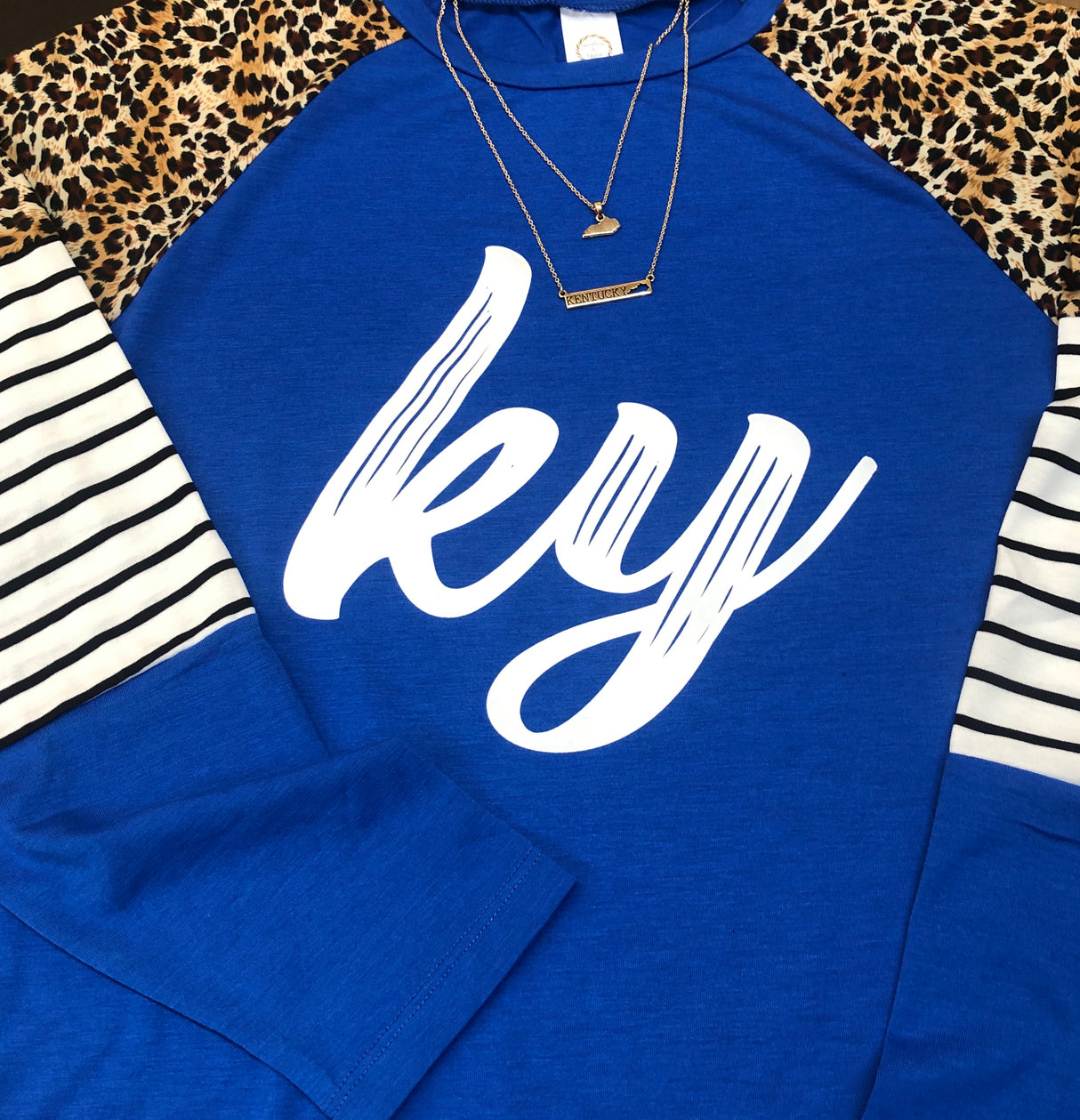 Royal Leopard and Stripes Long Sleeve Top